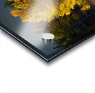 Autumn s Majesty Acrylic print