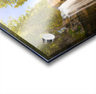 Golden Glow at Troll Falls Acrylic print