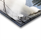 Mystical Veil Acrylic print