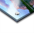 Rosy Reflection Acrylic print