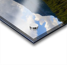 Nature s Perfect Harmony Acrylic print