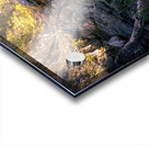 Whispers of Light Beyond the Shade Acrylic print