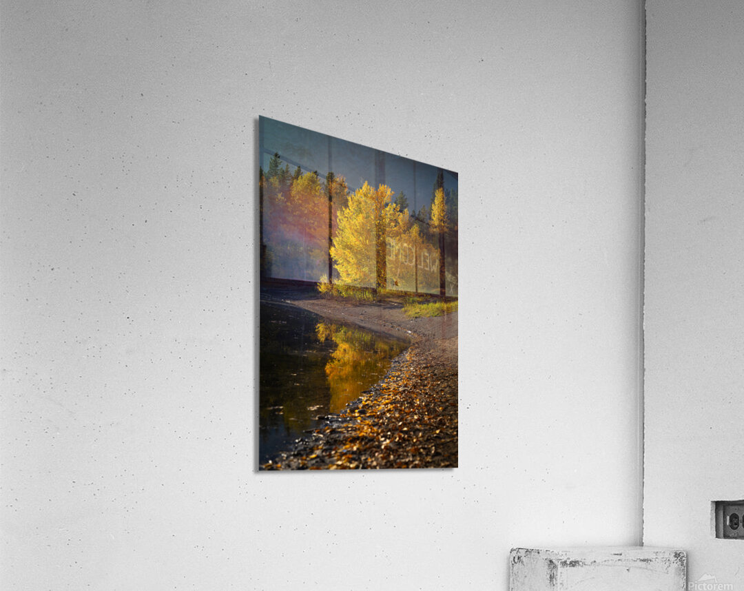 Autumn s Majesty Acrylic Print