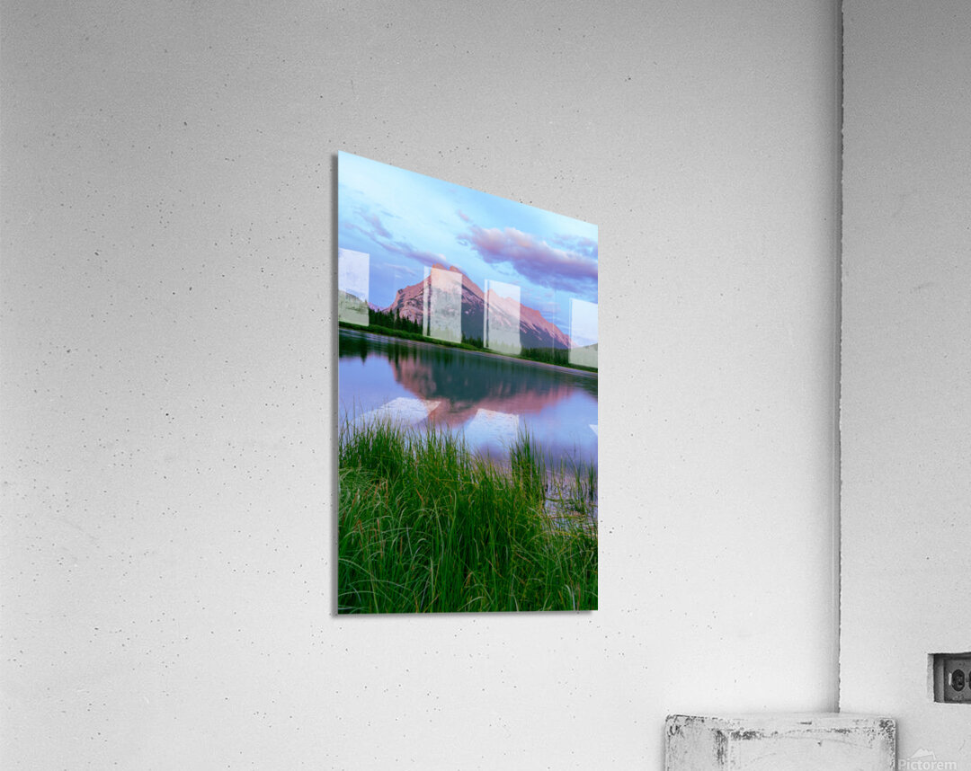 Rosy Reflection Acrylic Print