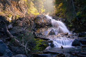 Whispers of Light Beyond the Shade