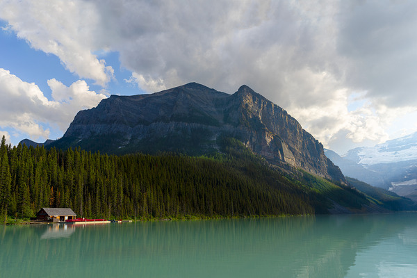 Nature s Perfect Harmony Print