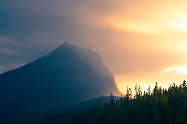 Rainy Splendor Print