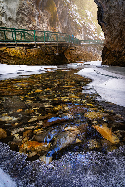 Hues of Nature Print