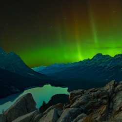 Aurora s Dance at Peyto Lake