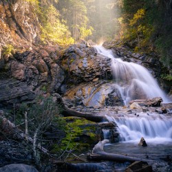 Whispers of Light Beyond the Shade