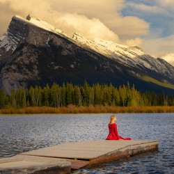 At Last the Stillness