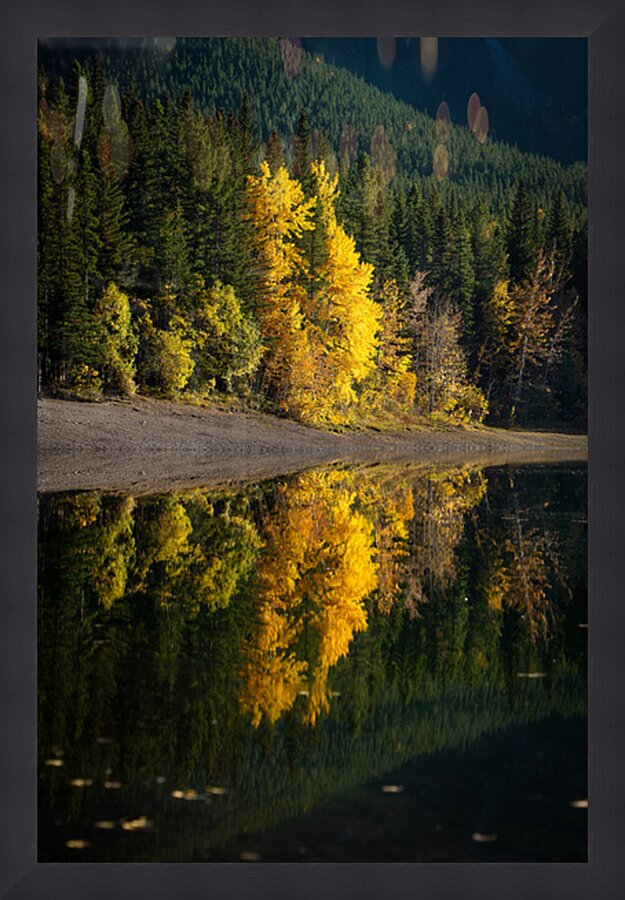 Golden Reflection Picture Frame print