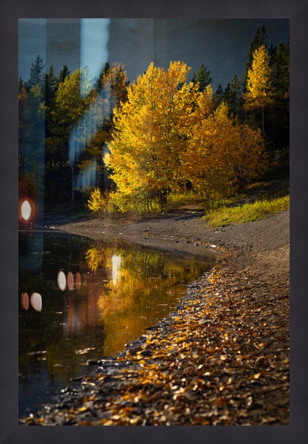 Autumn s Majesty Picture Frame print