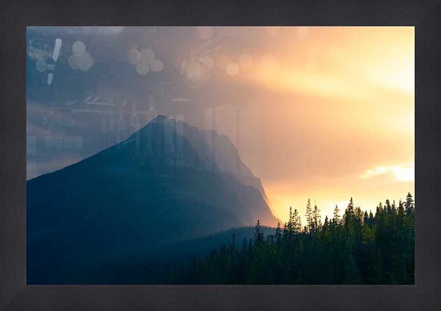 Rainy Splendor Picture Frame print