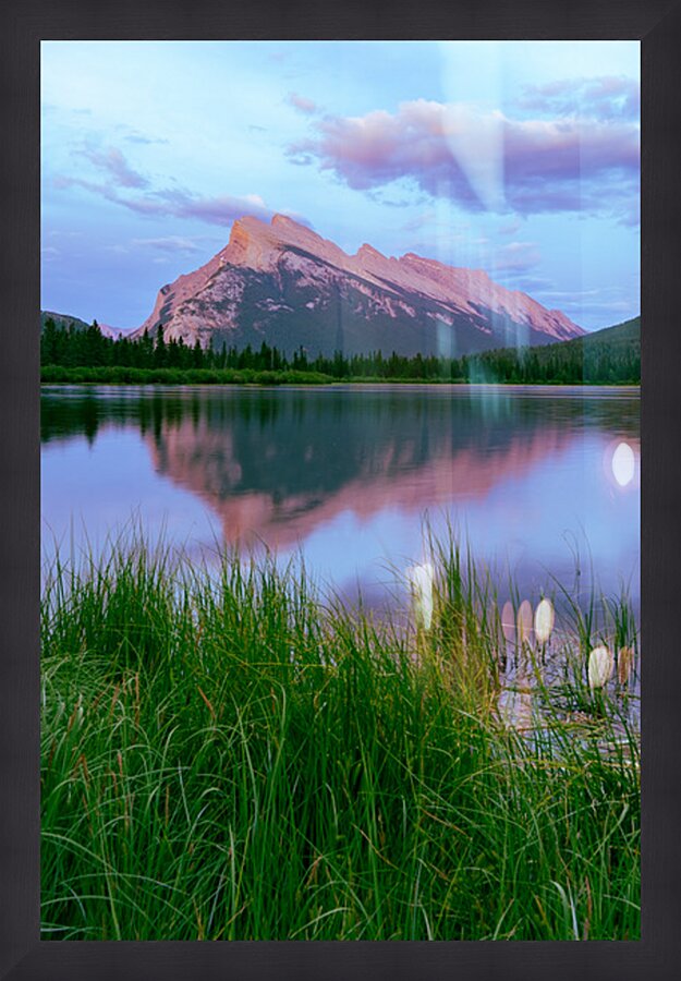 Rosy Reflection Picture Frame print