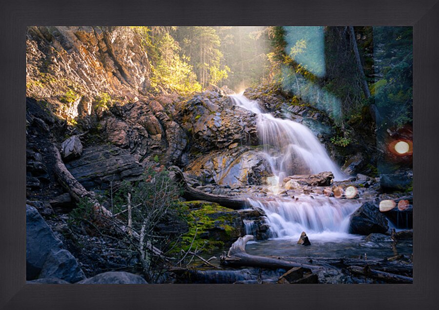 Whispers of Light Beyond the Shade Picture Frame print