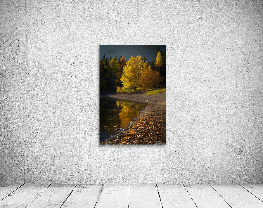 Autumn s Majesty Wall Preview