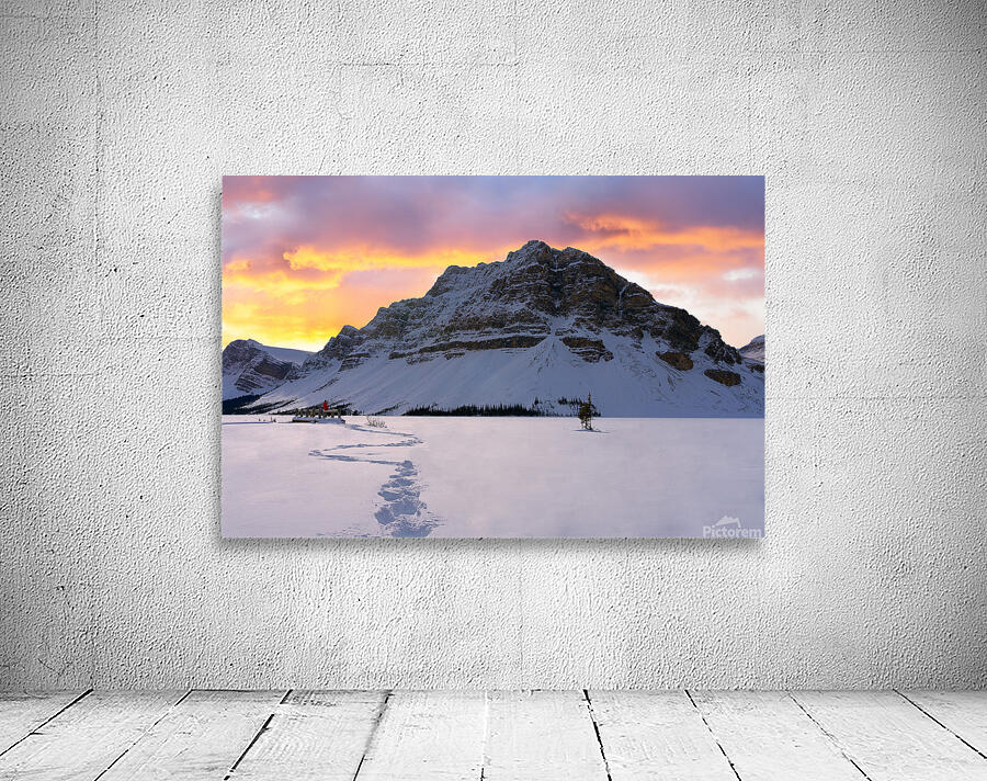Tranquility by the Frozen Lake Wall Preview