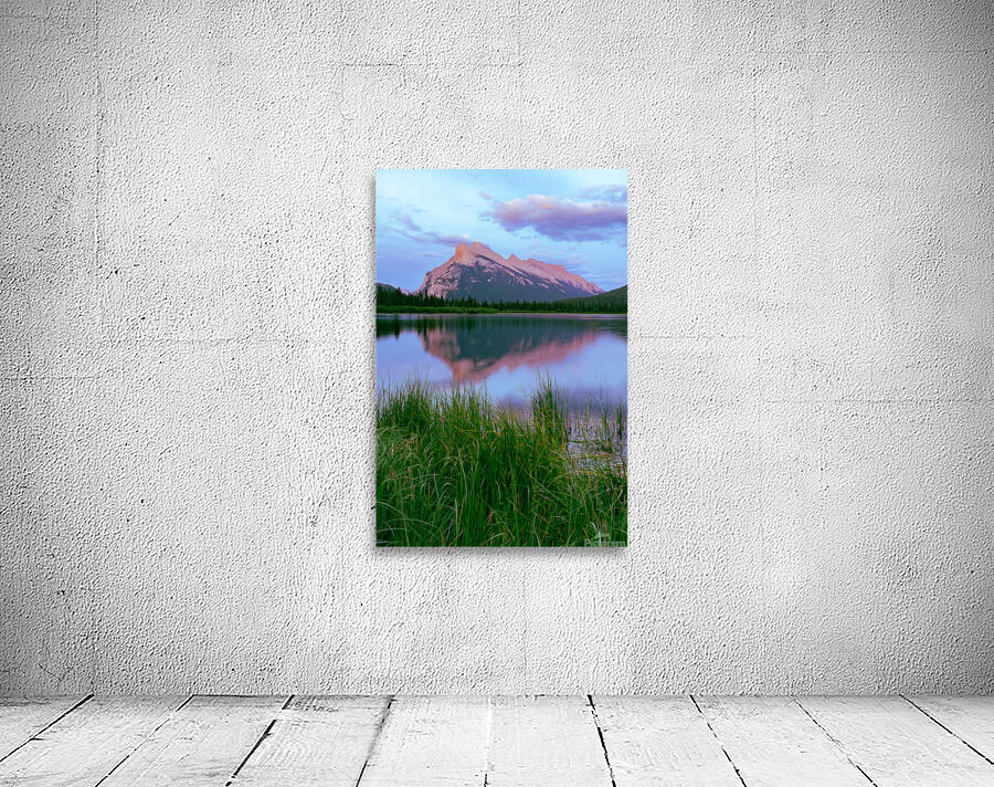 Rosy Reflection Wall Preview